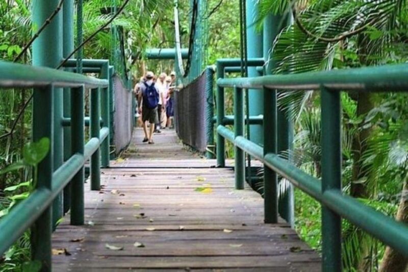 Half-Day Villahermosa Tour With La Venta Museum - Tour Overview and Pricing