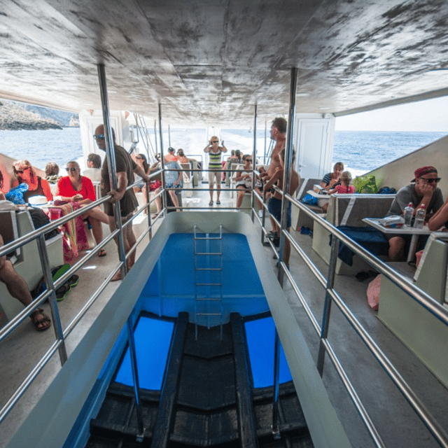 Half-day VIP Cruise Caretta-Caretta - Recap