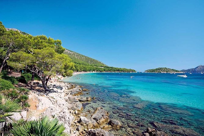 Half-Day Visit to Formentor Beach by Catamaran - Tour Overview