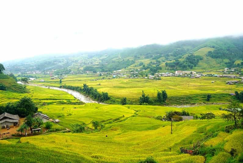 Half Day Visit Y Linh Ho,Lao Chai,Ta Van Trekking With Lunch - Itinerary Details