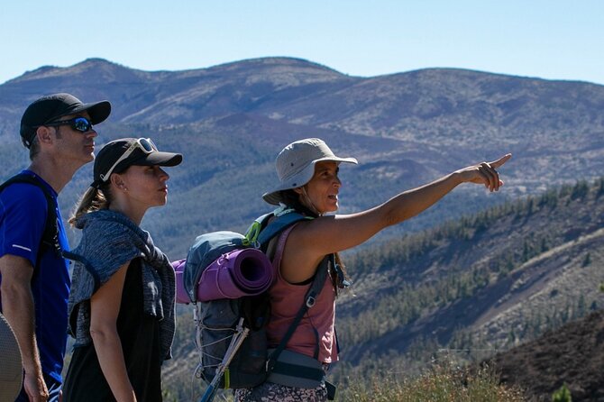 Half-Day Volcanic Experience in Teide, Tenerife - Meeting and Pickup Logistics