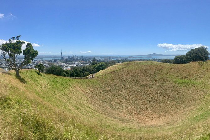 Half-Day Volcano Tour From Auckland - What to Expect and Requirements