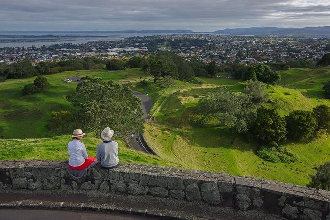 Half-Day Volcano Tour From Auckland - Customer Reviews and Recommendations