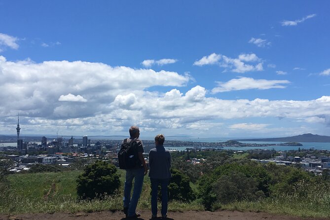 Half-Day Volcano Tour From Auckland - Uncovering Aucklands Geological History