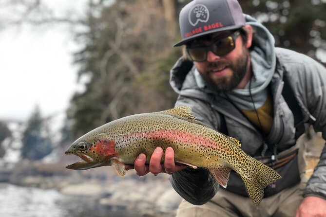 Half Day Walk and Wade Fly Fishing Trip - Key Points