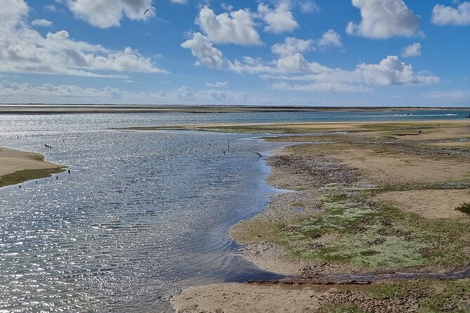 Half Day Walking Tour in Ria Formosa Nature Park - Pricing and Booking Information
