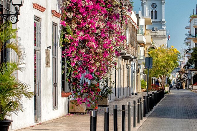 Half Day Walking Tour in the Colonial Zone of Santo Domingo - Tour Inclusions