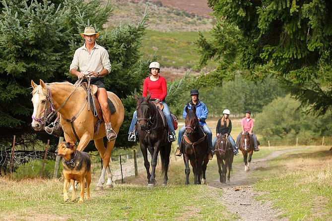 Half Day Walter Peak Horse Trek and Cruise From Queenstown - Departing From Queenstown