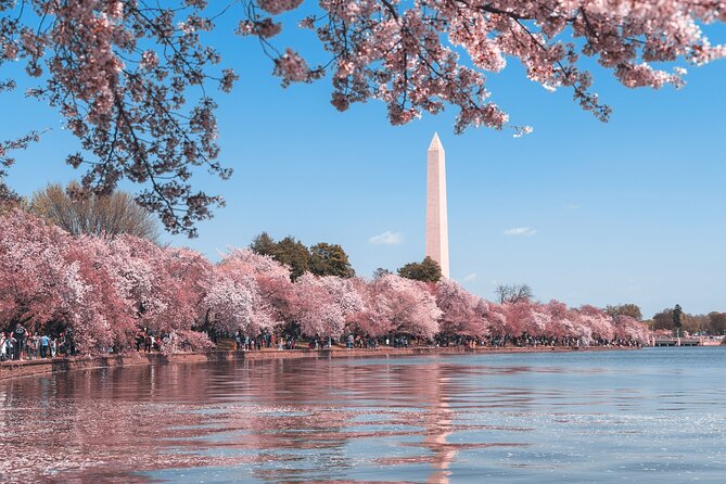 Half Day Washington City Tour With Pickup - Photogenic Spots in the City