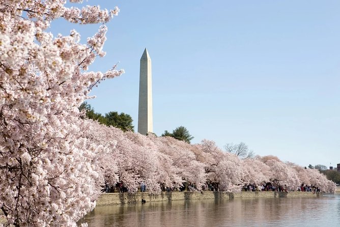 Half-Day Washington DC Bus Tour & Capitol Ground Access - Inclusions and Exclusions