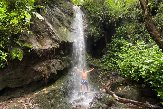 Half-Day Waterfall Tour - Hike, Scenic, Food and Photo - Key Points