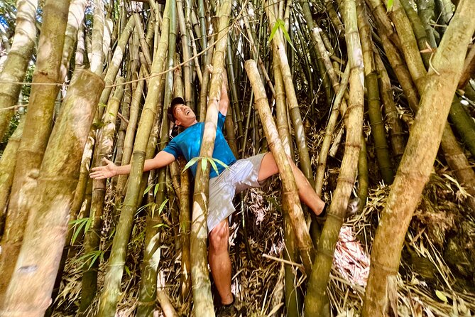Half-Day Waterfall Tour - Hike, Scenic, Food and Photo - Inclusions and Highlights