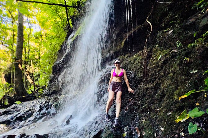 Half-Day Waterfall Tour - Hike, Scenic, Food and Photo - Picturesque Waterfall Views