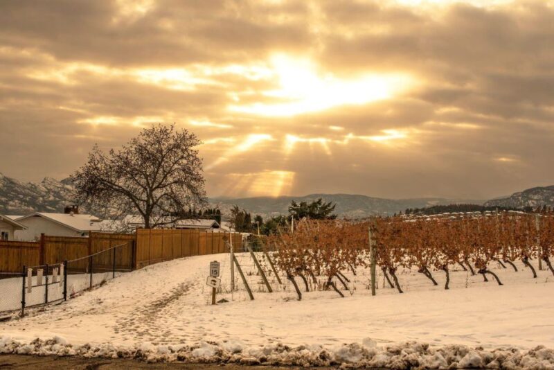Half-Day West Kelowna Wine Tour - Inclusions and Exclusions