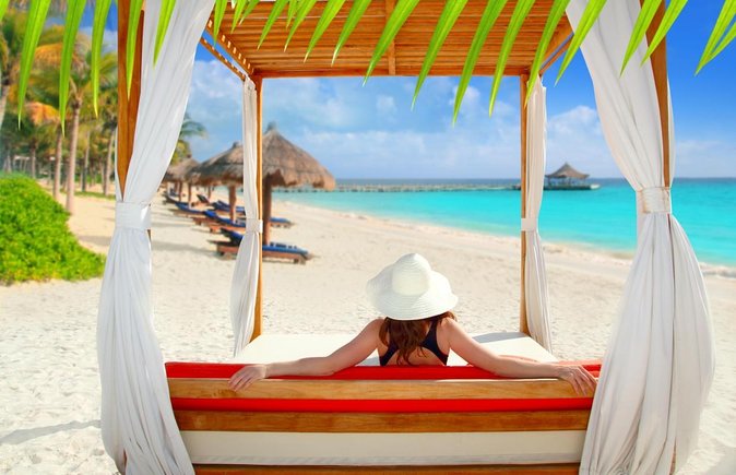 Half Day Whale Shark Tour From Playa Del Carmen - Key Points
