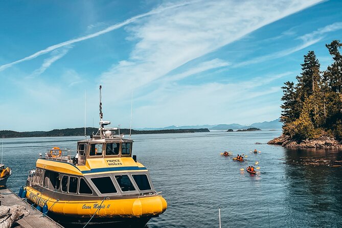Half-Day Whale Watching Adventure From Telegraph Cove - Meeting Point and Check-in