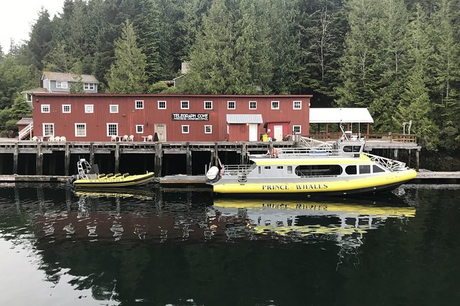 Half-Day Whale Watching Adventure From Telegraph Cove - Confirmation and Accessibility