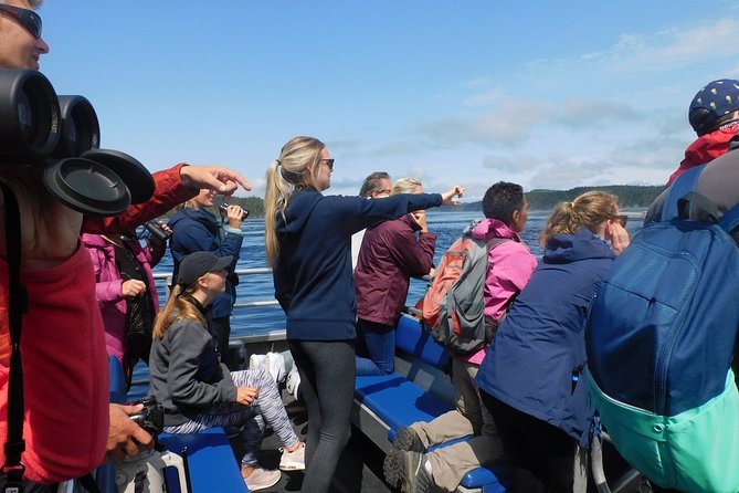 Half-Day Whale Watching Adventure From Telegraph Cove - Transportation and Seating
