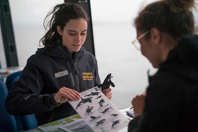 Half-Day Whale Watching Adventure From Telegraph Cove - Educational Materials Onboard