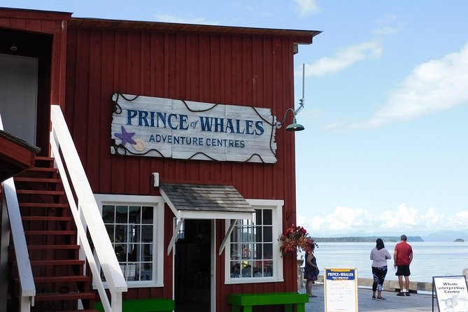 Half-Day Whale Watching Adventure From Telegraph Cove - Customer Reviews and Rating