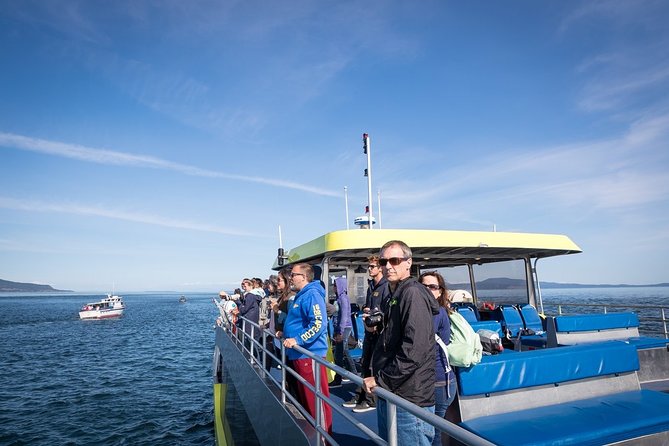 Half-Day Whale Watching Adventure From Vancouver - Whale Sighting Guarantee