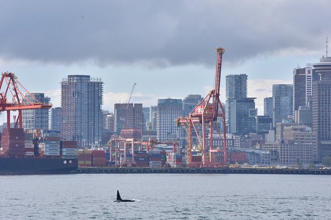 Half-Day Whale Watching Adventure From Vancouver - Educational Materials and Guides