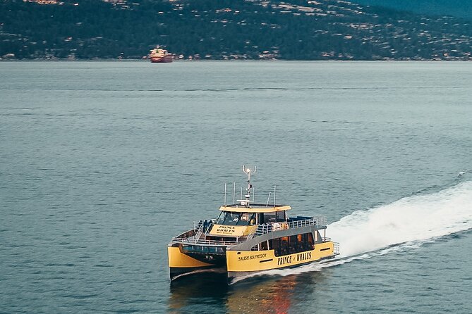 Half-Day Whale Watching Adventure From Victoria - Included Features