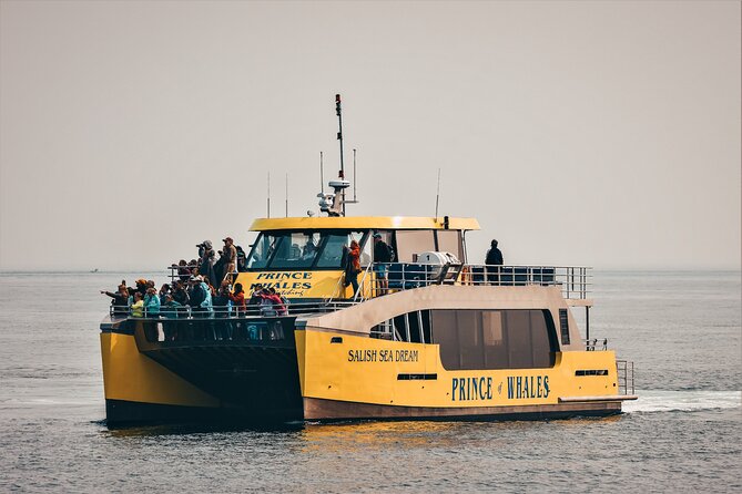 Half-Day Whale Watching Adventure From Victoria - Lifetime Whale Sightings Guarantee
