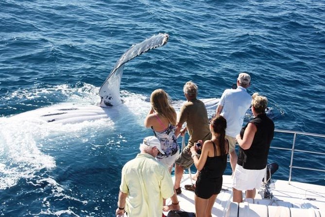 Half-Day Whale Watching Sunset Cruise From Broome - Inclusions and Amenities