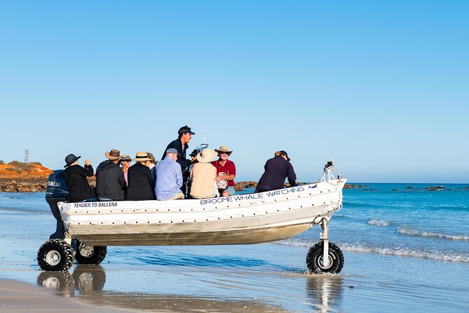 Half-Day Whale Watching Sunset Cruise From Broome - Vessel and Viewing Experience