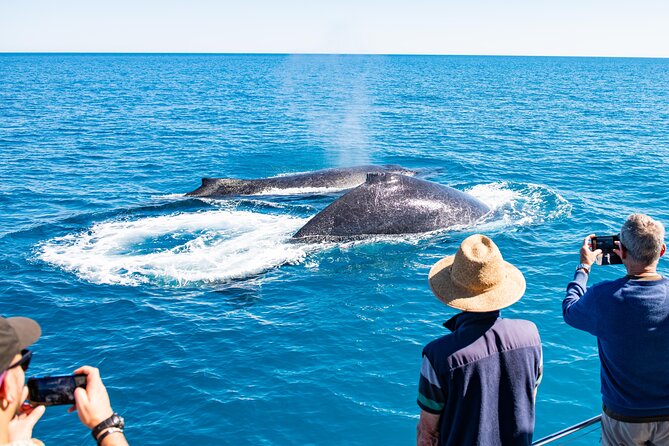 Half-Day Whale Watching Sunset Cruise From Broome - Dining and Refreshments