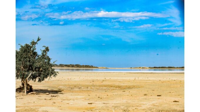 Half-Day Wild Safari in Yala National Park - Booking and Cancellation