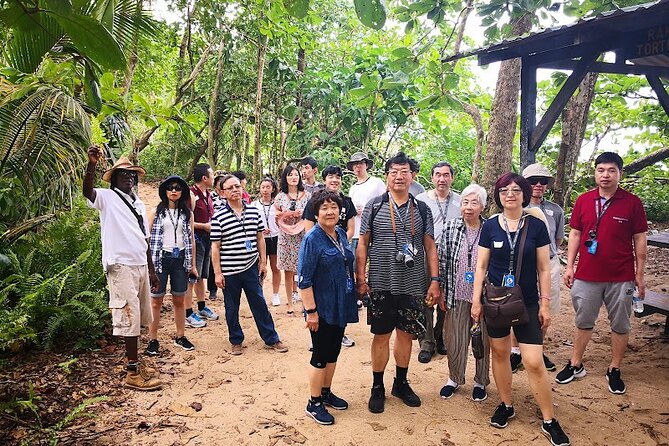 Half-Day Wildlife Hiking Tour of Cahuita National Park - Guided Nature Hike Experience