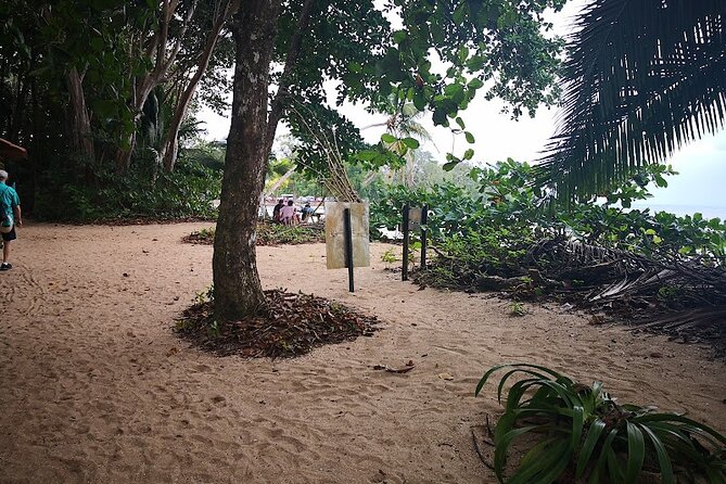 Half-Day Wildlife Hiking Tour of Cahuita National Park - Wildlife and Fauna Encounters