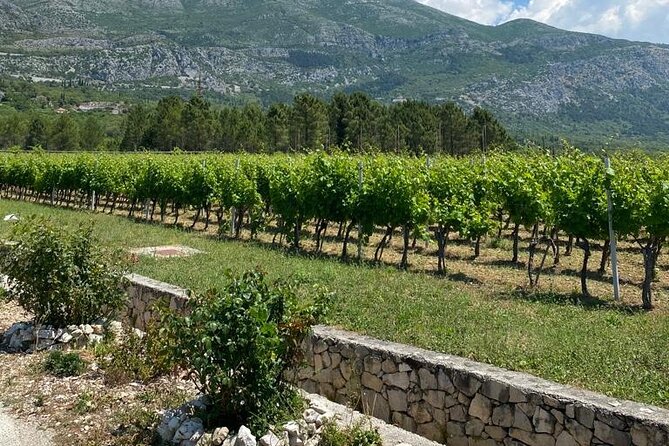 Half-Day Wine and Food Tasting From Dubrovnik - Tour Duration and Group Size