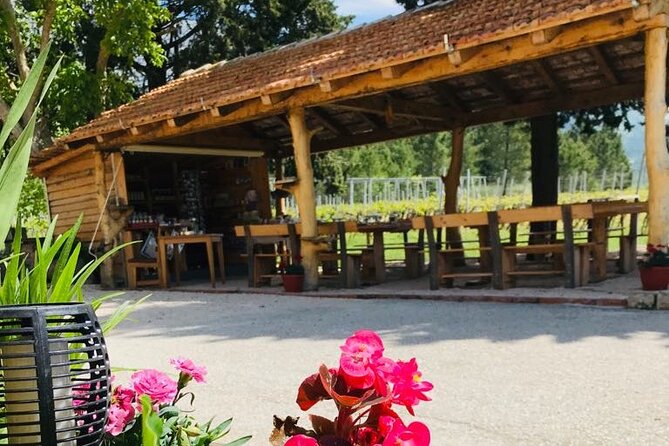 Half-Day Wine and Food Tasting From Dubrovnik - Proximity to Public Transportation