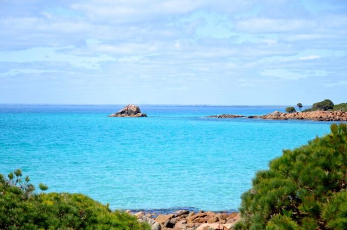 Half Day Wine and Sights Discovery Tour Busselton - Cancellation Policy