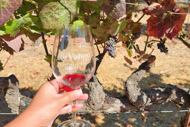 Half-Day Wine Country Experience Including All Tasting Fees - Transportation and Sightseeing