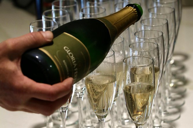 Half-Day Wine Country Experience Including All Tasting Fees - Cancellation Policy and Logistics