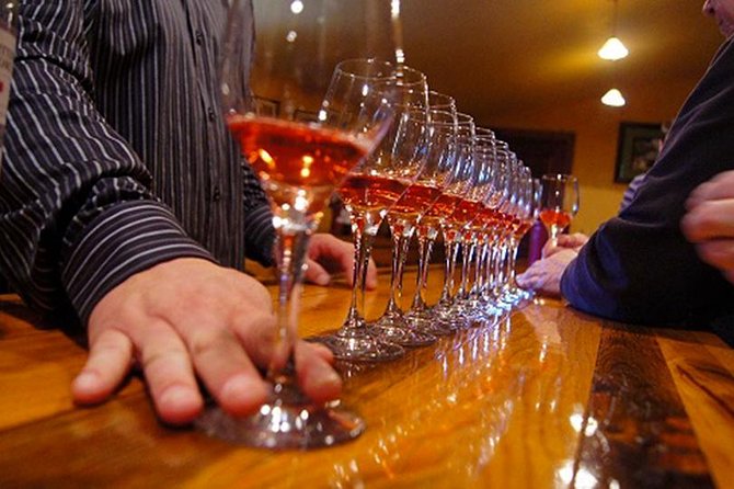 Half-Day Wine Country Experience Including All Tasting Fees - Infant Seating and Accessibility