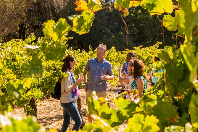 Half-Day Wine Country Tour From San Francisco - Meeting and Pickup Information