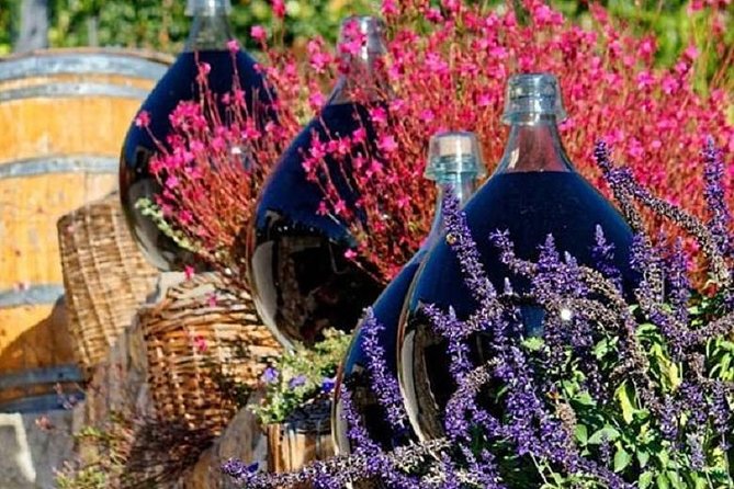 Half-Day Wine Tasting and Saint Paul De Vence Tour From Nice - Transportation and Convenience