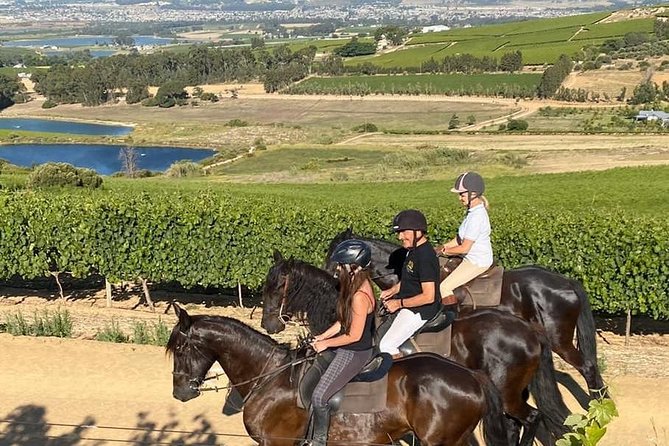Half Day – Wine Tasting Horse Trail - Cancellation and Reviews