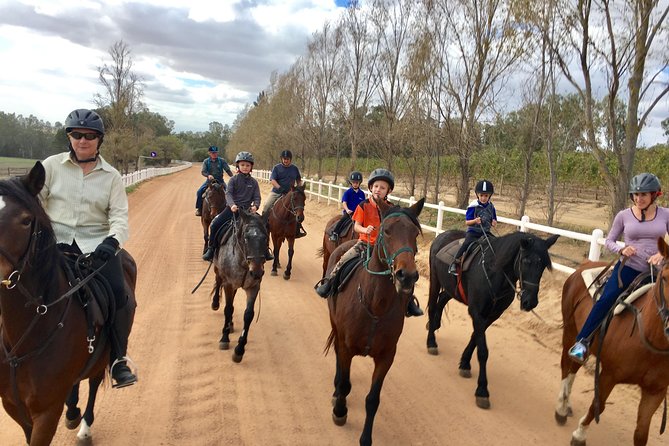 Half Day – Wine Tasting Horse Trail - Experience Highlights