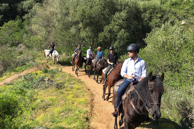 Half Day – Wine Tasting Horse Trail - Frequently Asked Questions