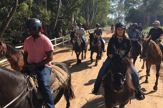 Half Day – Wine Tasting Horse Trail - Additional Details