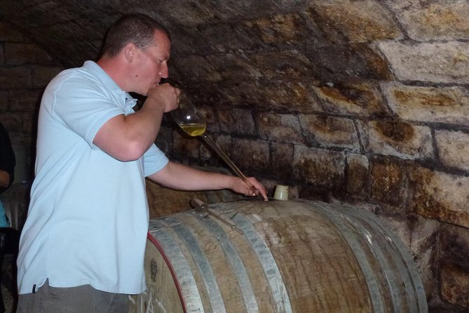 Half-Day Wine Tasting Tour in Etyek Wine Country Near Budapest - Notable Wine Varieties