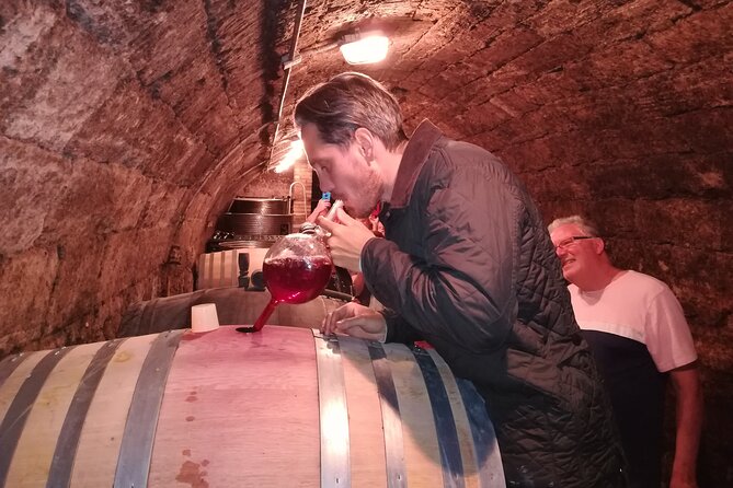 Half-Day Wine Tasting Tour in Etyek Wine Country Near Budapest - Old Wine Hill