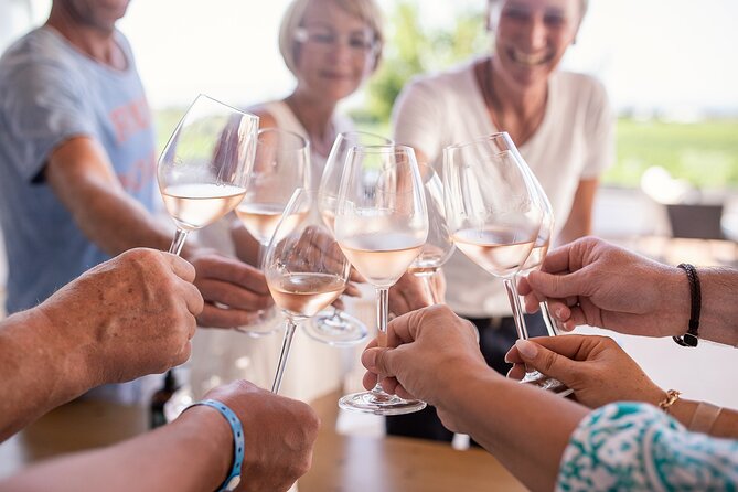Half Day Wine Tasting With Dinner in Kos - Health and Accessibility Information