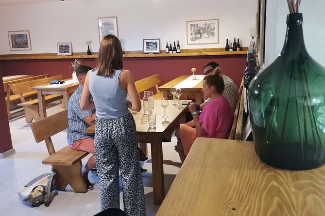 Half-Day Wine Tasting With Snacks and Ston Place Visit - Cancellation and Reviews